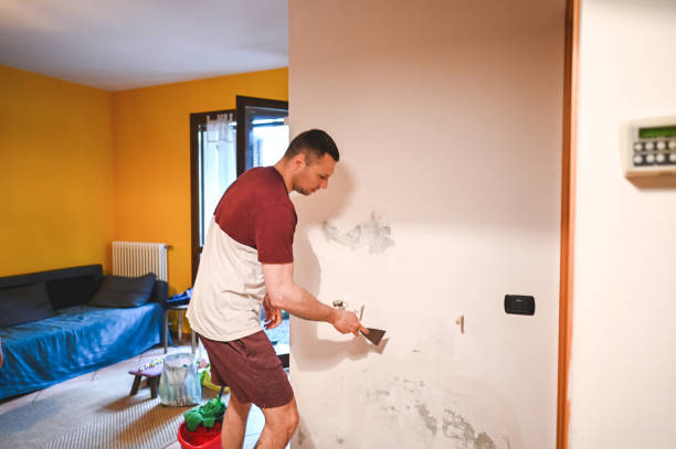 Best DIY Mold Remediation Support Services in Hampton, TN
